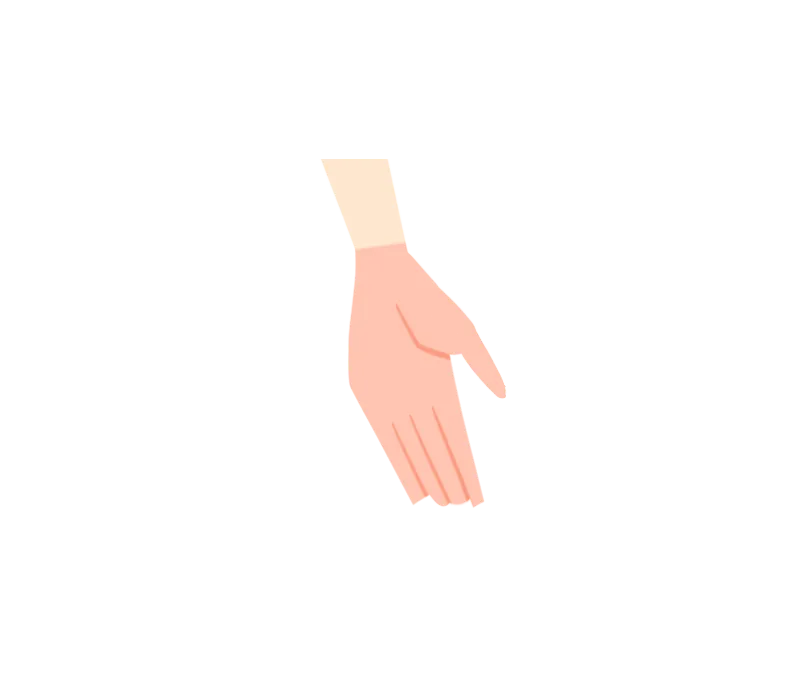 イラスト：手の甲と指