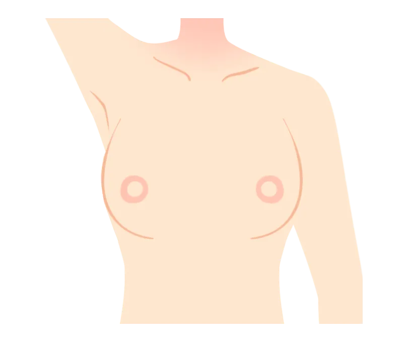 イラスト：乳輪周辺