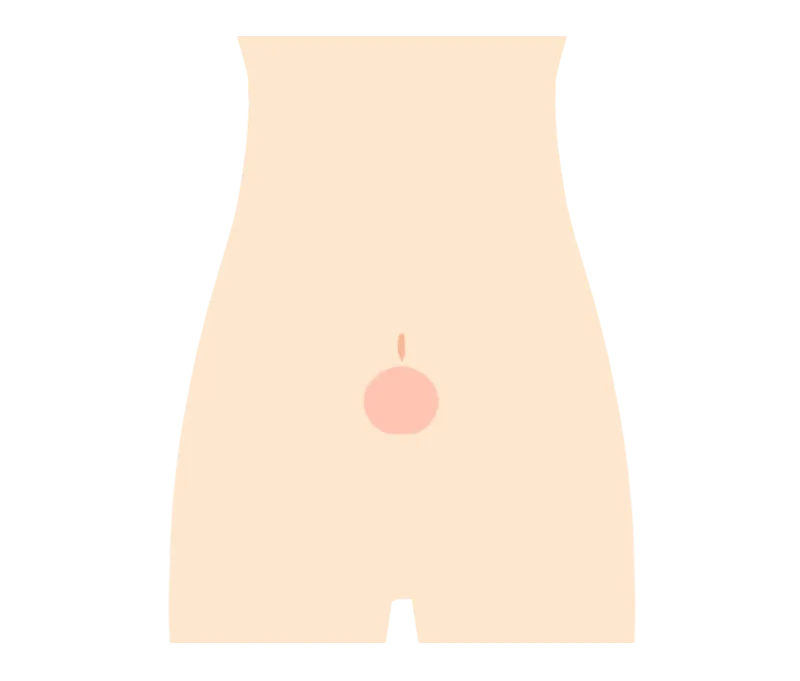 イラスト：へそ下