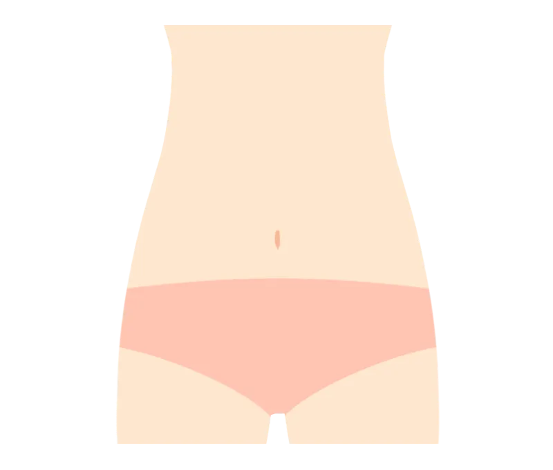 イラスト：Vライン 