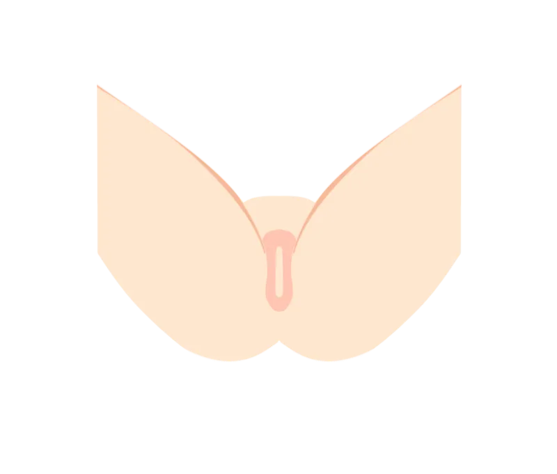 イラスト：Iライン 
