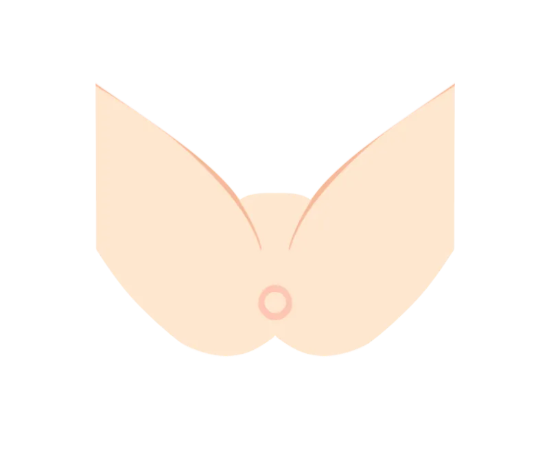 イラスト：Oライン 