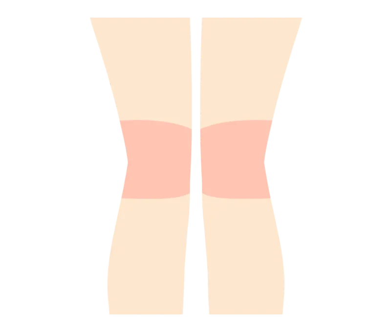 イラスト：膝小僧