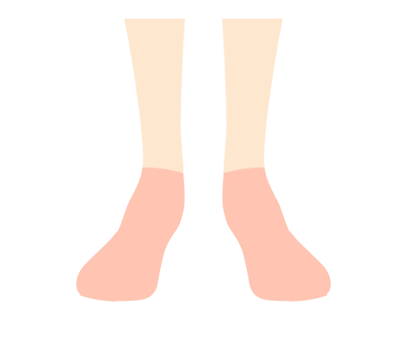 イラスト：足の甲と指