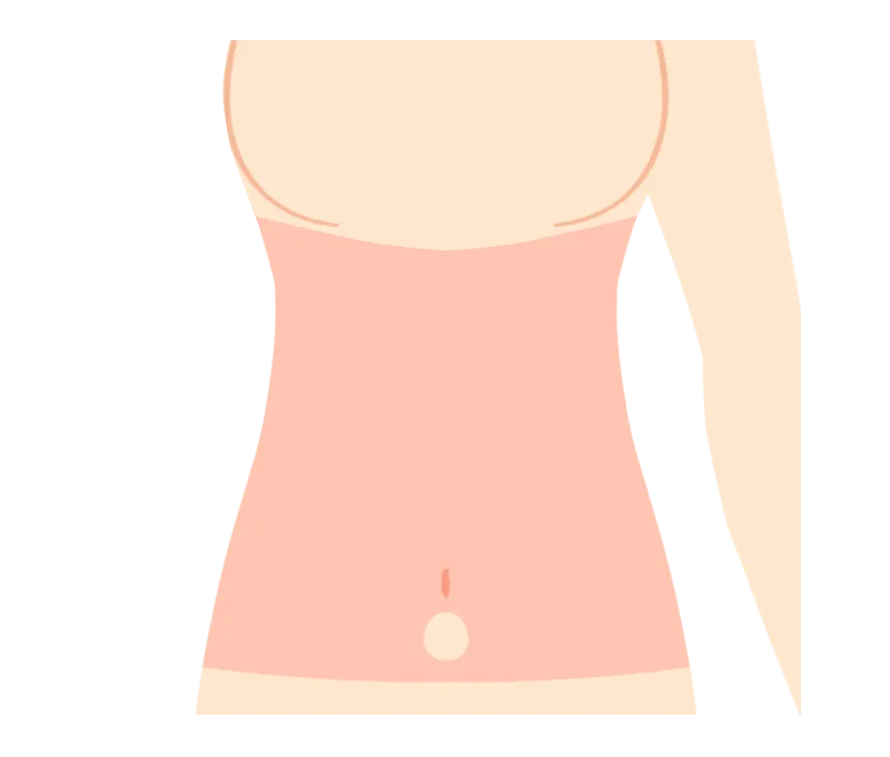 イラスト：腹