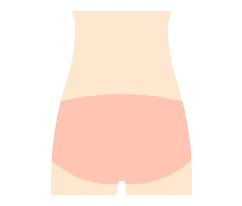 イラスト：臀部（でん部）