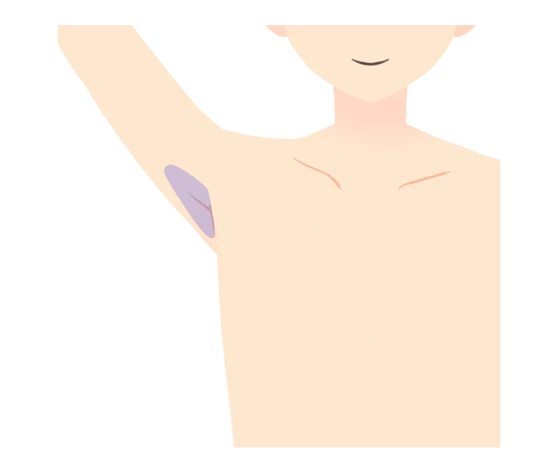 イラスト：両ワキ