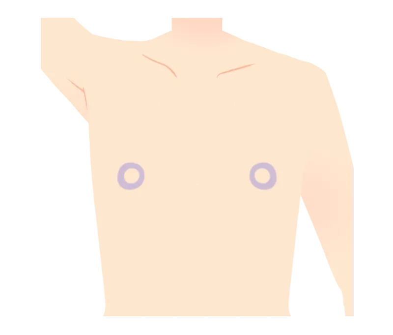 イラスト：乳輪周辺