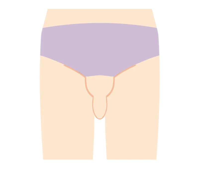 イラスト：Vライン