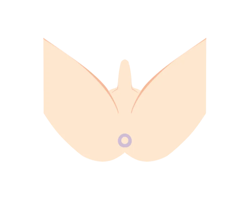 イラスト：Oライン