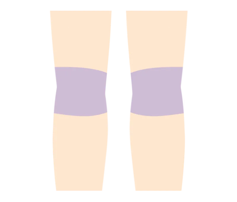 イラスト：膝小僧
