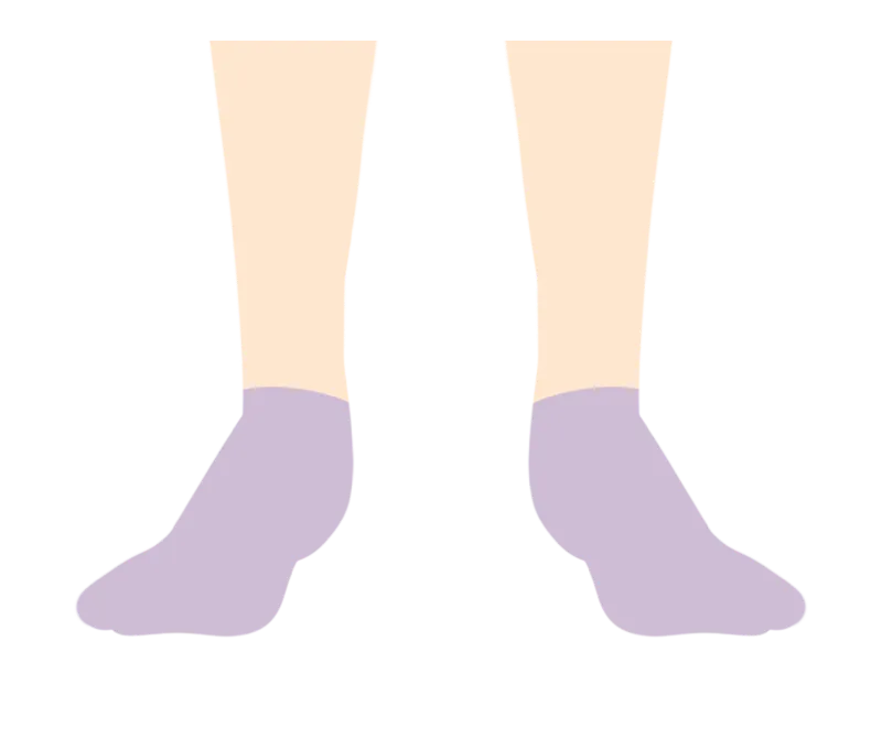 イラスト：足の甲と指