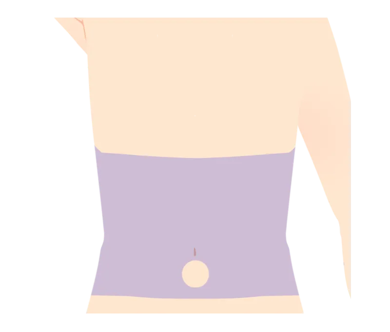 イラスト：腹